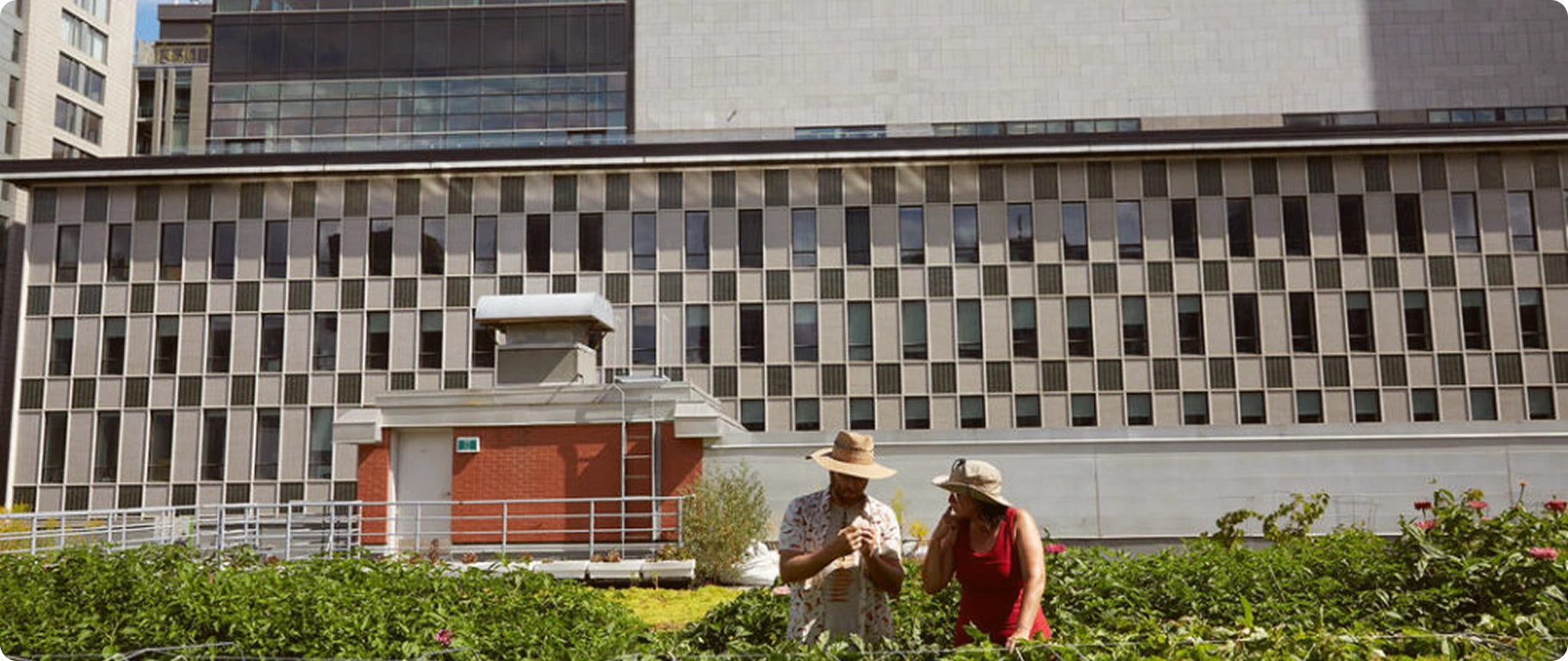 La Pimenterie Production